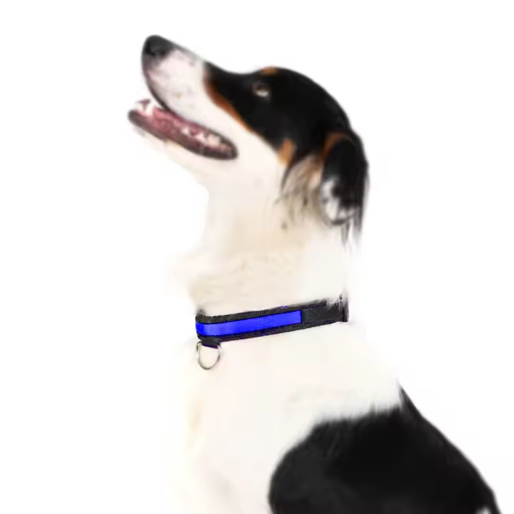 Collar para perro y gato collares con luz LED para paseos nocturnos antipérdida iluminación para perros collar de nailon luminoso tejido suave - 1