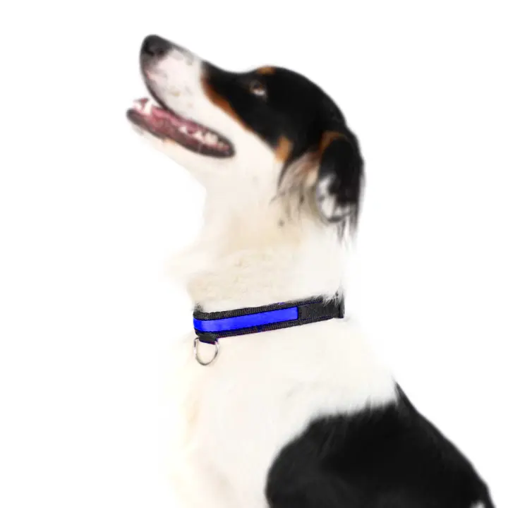 Collar para perro y gato collares con luz LED para paseos nocturnos antipérdida iluminación para perros collar de nailon luminoso tejido suave - 1