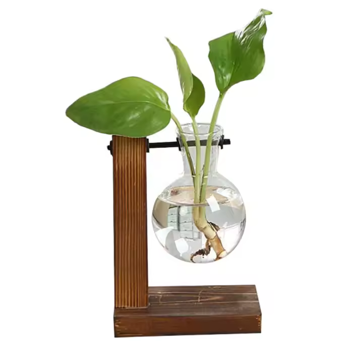 Terrario De Plantas Hidroponicas Vintage Jarrón De Flor Transparente Con Marco De Madera Vaso De Cristal Para Decoración De Hogar Y Bonsái En Mesas - 1