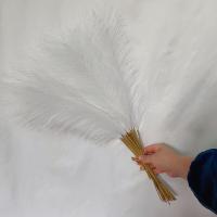 Pack De 10 Pampas Artificiales Imitación De Caña De Paja Para Decoración De Hogar Y Eventos - details 6