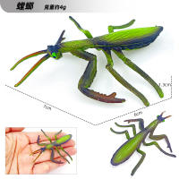 Juego De 12 Figuras De Animales Miniatura Insectos Y Reptiles Educativo Para Niños Juguetes De Halloween Escarabajo Mantis Cicada Lurio - details 9