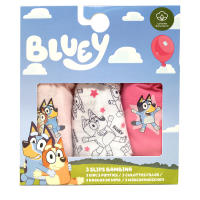 Pack 3 Braguitas de Niña Bluey, Ropa Interior Niñas de 2 a 6 años Bluey y Bingo, Braguitas Infantiles 100% Algodón, Regalo Cumpleaños, Navidad, Reyes - details 0
