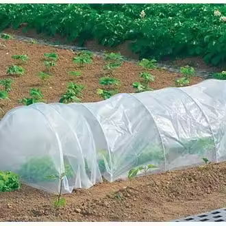 Plastico invernadero transparente 2x10 mtrs. (2 de 2x5) - 1
