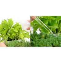 Riega Automático De Vidrio Para Plantas Y Flores Dispositivo De Riego Self Watering Con Dibujos Animados Para Jardín Y Macetas Herramienta De Riego Interior - details 14