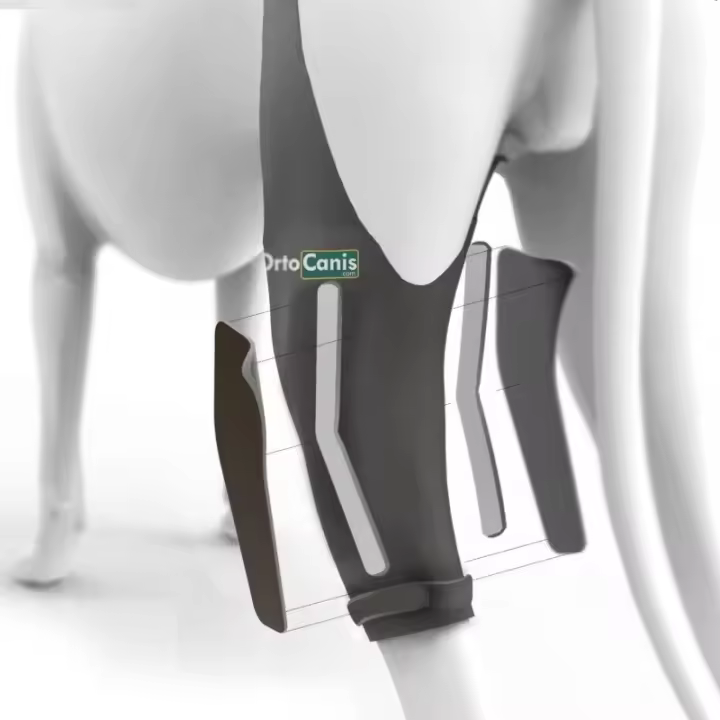 Inmovilizador de rodilla para perro Ortocanis - 1