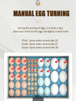 Incubador Termostático Manual Con USB Para Peces Aves Y Huevo Incluye Cama De Agua Biónica Y Luz De Huevos Máquina Todo En Uno - details 6