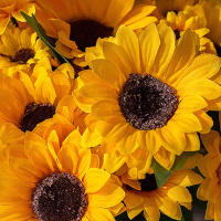 Busto De Girasoles Artificiales 13 Cabezas Flor Real Toque Para Jardín Fiesta De Boda Casa Exposición Perfecto - details 5