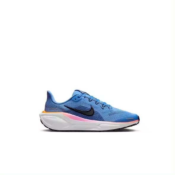 Nike Air Zoom Pegasus 40 FN5041 403 - 1