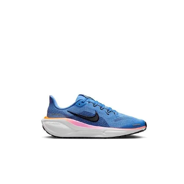 Nike Air Zoom Pegasus 40 FN5041 403 - 1