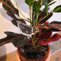 Riega Automático En Forma De Pájaro Para Macetas Herramientas De Jardín Rieador De Agua Para Plantas Sistema De Riego Por Goteo - details 5