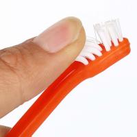 Cepillo Para Dientes De Perro Cuidado De La Salud Oral Anti-Odor No Tóxico Herramienta De Limpieza Para Perros Y Gatos Accesorios Para Mascotas - details 4