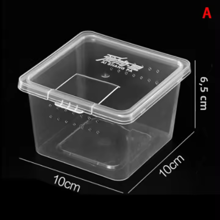 Caja De Alimentación Para Serpiente Reptil Transparente Cages De Habitaculo Portátil Contenedor De Cría Para Lagarto Rana Escorpión Geckó - 1