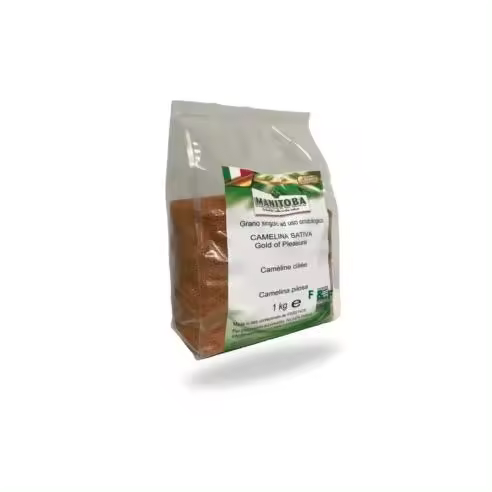 Manitoba Semilla de Camelina Sativa 1 Kg - 1