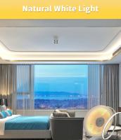 Tira De LED COB Flexible 5M 10M 24V 12V 8mm 320LEDs/M Luz Dimmable Para Decoración De Habitaciones 3000K 4000K 6000K - details 9