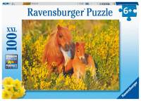 Ravensburger - Ponis Shetland. Puzzle de 100 piezas - details 0