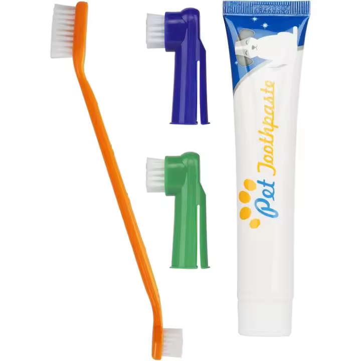 Juego de Pendientes para mascotas, pasta de dientes para Perros, Herrerías para el cuido de los dientes de los perros, Aliento fresco, eliminar la Placa y el Sarro - 1