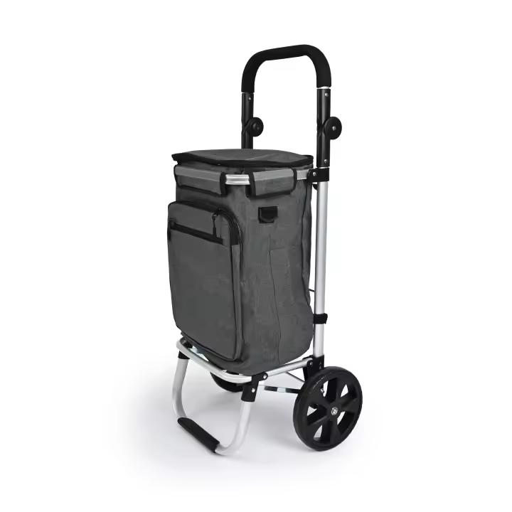 NQT Carrito de Compra Plegable Aluminio con Bolsa Térmica en Interior Impermeable con 2 Ruedas Desmontable - Carro del Mercado Capacidad 50 litros para Alimentos 96x35x24cm/ Gris - 1