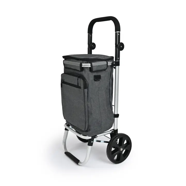NQT Carrito de Compra Plegable Aluminio con Bolsa Térmica en Interior Impermeable con 2 Ruedas Desmontable - Carro del Mercado Capacidad 50 litros para Alimentos 96x35x24cm/ Gris - 1