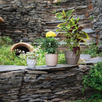 Plastic Forte Maceta Redonda Pequeña con Plato de la línea SAHARA, de 23cm, Maceta para jardines y para interiores, decoración de Plantas, Flores Resistente, Macetero de Plastico - details 1