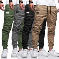 Pantalones Casuales De Largo Para Jóvenes 2024 Tejidos Sólidos Coloridos Cintura Media Estilo Safari Pantalones De Cierre De Cremallera - details 0