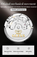 Reloj De Pulsera Automático Para Hombre OLEVS Estilo Business Impermeable Con Correa De Acero Inoxidable Calendario Esqueleto Display Numeral Romano - details 4