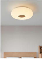 Lámpara De Techo LED Nórdica Para Iluminación Interior De Sala De Estar Dormitorio Baño Pasillo Y Cocina Decoración De Hogar Material Metálico Estilo Moderno - details 2