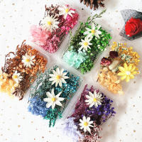 Paquete De Materiales Para Manualidades Con Flores Secas DIY Artesanía Artificial Para Decoración De Bodas Y Fiestas Cursos De Arte Flor Eterna - details 3