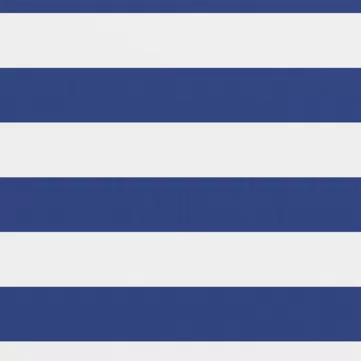 Toldo para Balcón lienzo Oxford Blanco y Azul 90x400 cm - 1