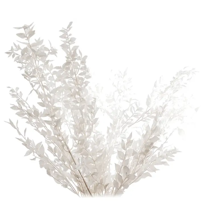 Ramo de flores secas para decoración del hogar, flores rusas preservadas para siempre, bricolaje Floral, 45cm - 1