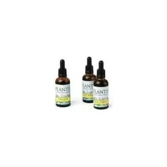 Maese Herbario Extracto Gayuba 50Ml - 1