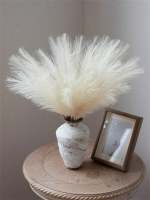 10pcs De Pampas Artificiales 55cm/21.65 Pulgadas Altas Rejas De Terciopelo Falso Grama Para Relleno De Vaso De Piso Decoración De Hogar - details 5
