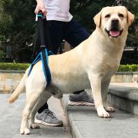 Sujetador Ajustable Para Perros Con Soporte De Caderas Y Piernas Traseras Herramienta De Ayuda Para Canes Y Rehabilitación De Ligamentos - details 2