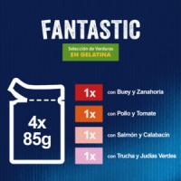 FELIX Fantastic Selección con Verduras en Gelatina (4×85 g) - Alimento Húmedo Completo para Gatos Adultos (Buey y Zanahoria, Pollo y Tomate, Salmón y Calabacín, Trucha y Judías Verdes) - details 0