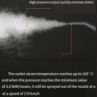 Limpieza de vapor de alta presión 2500W - details 0