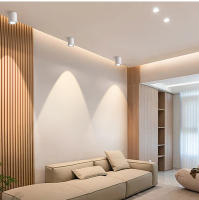 Lámpara De Techo LED De Aluminio COB Spot Light Montada En Superficie 7W 12W Iluminación Interior Para Pasillo Decoración Del Hogar 110V 220V - details 11