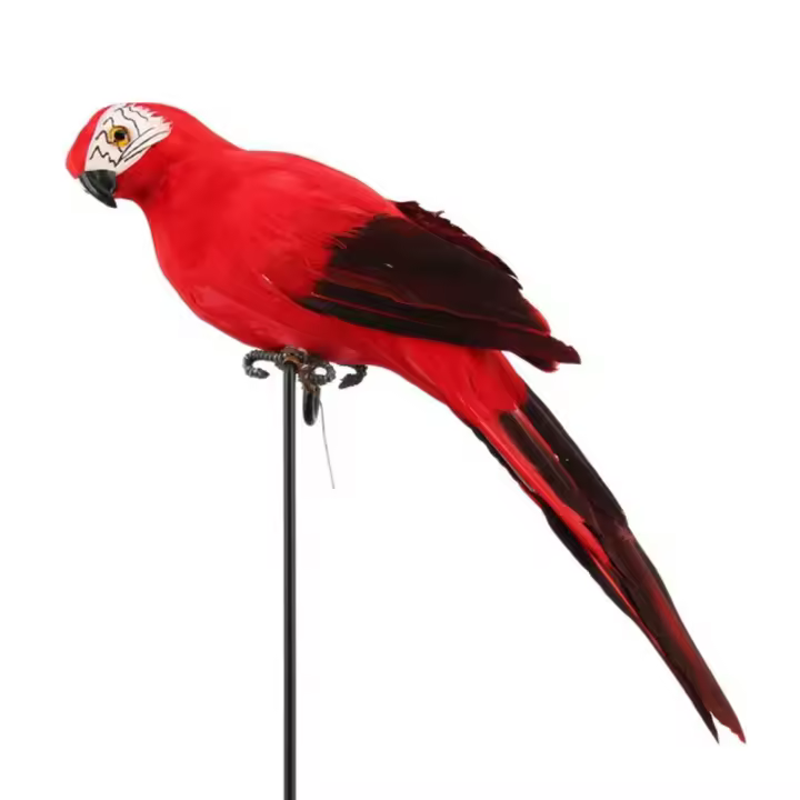 Adorno De Jardín Imitación De Pájaro Pirot 25cm Decoración Artificial De Pico Y Plumas Para Piratear Sobre Hombro - 1