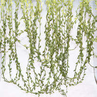 Vine De Hojas Verdes Artificiales De Seda De 10 Metros Para Decoración De Boda Y Manualidades 2 Piezas Flores Falsas Guirnalda Para Adornos Del Hogar - details 18