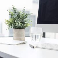 2 Pack Plantas Artificiales Pequeñas Eucalipto En Maceta Para Decoración De Escritorio Baño Habitación Estilo Rústico Mesa De Café - details 3
