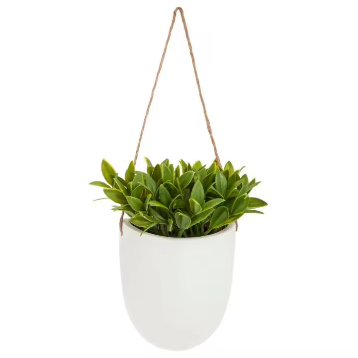 Planta Colgante Artificial Atmosphera, Gracia y Delicadeza para Decorar Cualquier Pared - 1
