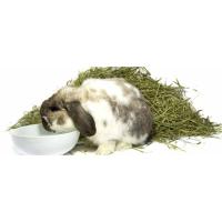 Versele-Laga Heno Natural para Conejos y Roedores 1 Kg o 5 Kg - details 2