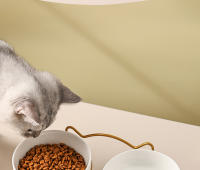Tazón De Cerámica Para Gatos Y Perros 500ML Con Soporte Elevado Alimentos Y Agua Dispensador Accesorios Para Gatos Tazón Doble De Forma Redonda - details 8