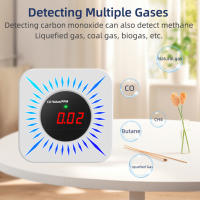 Detector De Gases Combustibles Tuya ZigBee CO Testador De Fugas De Carbon Monóxido Y Calidad Del Aire Con Pantalla LCD - details 15