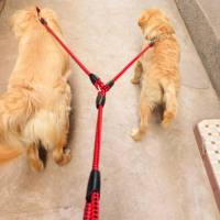 Correa Doble Para Perros De 1.4m Con Rotación De 360 Grados Sin Nudo Correa Duradera De Nylon Para Paseos De Perros - details 0