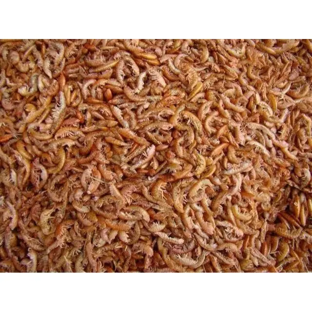 COMIDA PARA TORTUGAS A GRANEL GAMMARUS GAMBAS SECAS 1000 ML-125 GR - 1