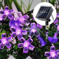 Luz De Cadena Solar De Faeira Sakura Con Flores De Cerezo LED 5/7/12/22M Para Decoración De Jardín Boda Fiesta Navidad Al Aire Libre - details 0