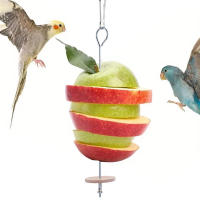Nuevo Portador De Alimentos Para Pájaros Acero Inoxidable Juego De Juguetes Para Periquito Pequeño Soporte Para Frutas Y Verduras En Jaula De Animales Domésticos - details 14