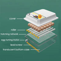 Incubador De Huevos Automático Para Pollos Pato Ganso Pichón Mini Brooder Doméstico 16 Huevos Herramienta Esencial Para Granjas Y Aves De Corral - details 2