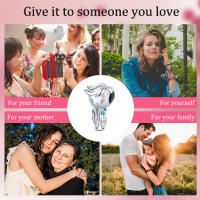 Encantos De Pareja De Niño Y Niña Platinados Con Circonia Para Pulsera O Collar Joyería Para Mujer Pendiente Clásico De Moda Vintage Romántico - details 4