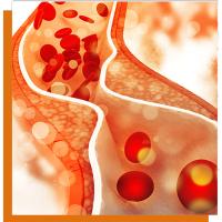 Oxicol 28 cápsulas Actafarma, con monacolina k, ayuda a mantener unos niveles de colesterol normales - details 0