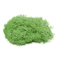 Plantas Artificiales Verdes 40g Vida Eterna Mostrador De Hierba Para Decoración De Hogar Sala De Estar Jardín Mini Paisaje Flores Falsas Para DIY Y Exposiciones - details 7